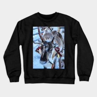 Lapland Crewneck Sweatshirt